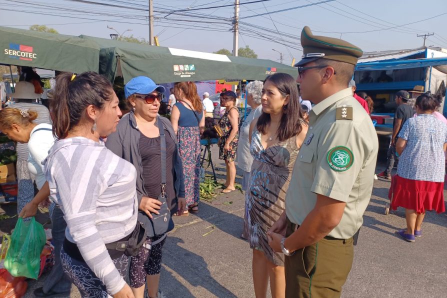 “Estamos contentos y optimistas con esta intervención”, manifestó Janet Carrasco, Presidenta del Sindicato de Chacareros, ante inspección en terreno a Feria Diego de Almagro de San Felipe realizada por la Delegada Presidencial en conjunto con el Comisario Jorge Guzmán y otros dirigentes