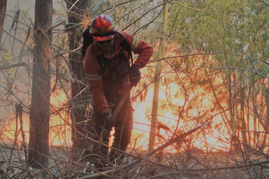 <strong>Ante Alerta Preventiva Temprana Delegada Presidencial de San Felipe llama a mantener medidas de precaución contra incendios forestales en la provincia</strong>