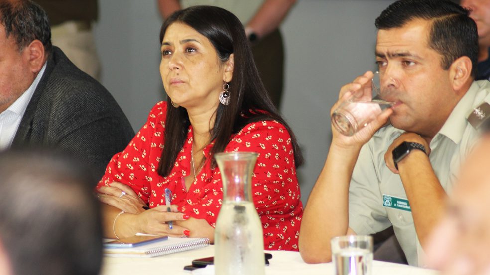 <strong>Aumento de detenciones en un 23% respecto al período anterior, y disminución de delitos de robo con violencia y fuerza en San Felipe revela nuevo informe STOP de Carabineros</strong>