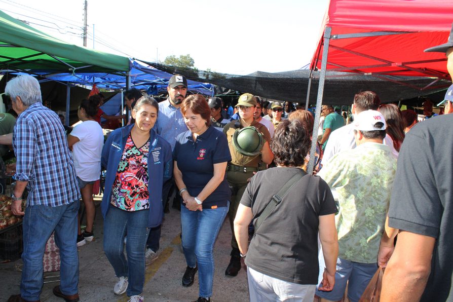 Cumpliendo el compromiso de resguardar el funcionamiento y la seguridad, la Delegada Presidencial Maricel Martínez y la Alcaldesa Carmen Castillo,acompañadas por la unidad de Control y Orden Público de Carabineros, Autoridad Sanitaria e inspectores municipales realizaron  una exhaustiva fiscalización en la Feria Diego de Almagro de San Felipe