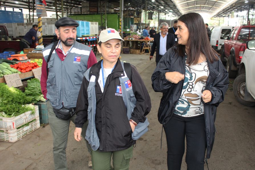 Delegación Provincial, Municipalidad San Felipe, Autoridad Sanitaria y Carabineros extienden sus fiscalizaciones a la Feria Mayorista AFEMA