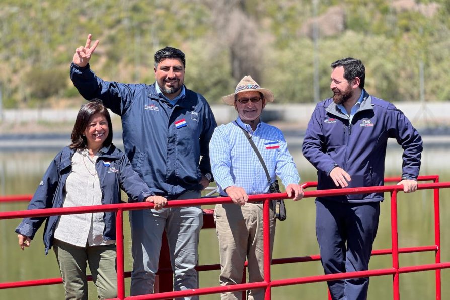 Rehabilitación del tranque Los Loros en Llay-Llay